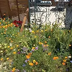 Le Petit Préau 10 Min Plages Casa vacanze