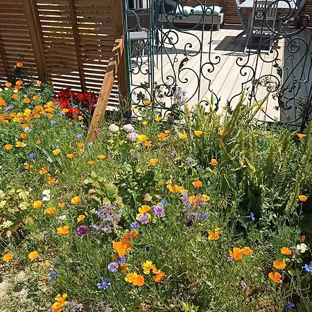 Le Petit Preau 10 Min Plages Σπίτι διακοπών